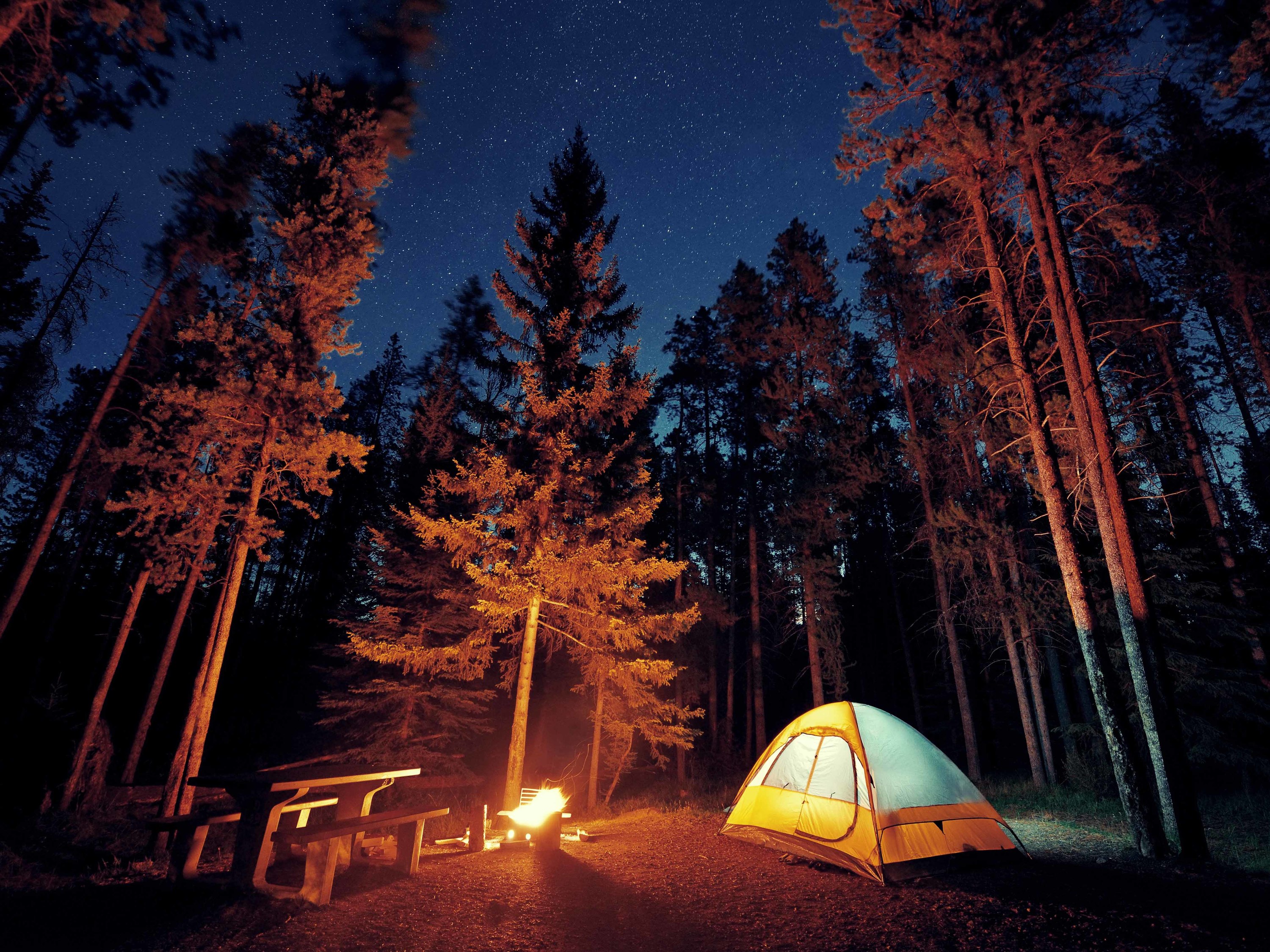 A campsite at night lit up by a campfire and the starlight