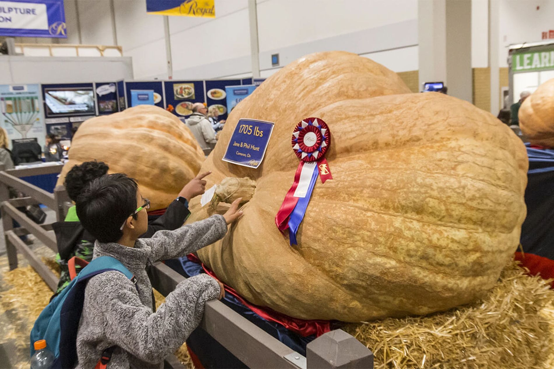 Two kids touching a giant pumpkin at the Royal Winter Fair