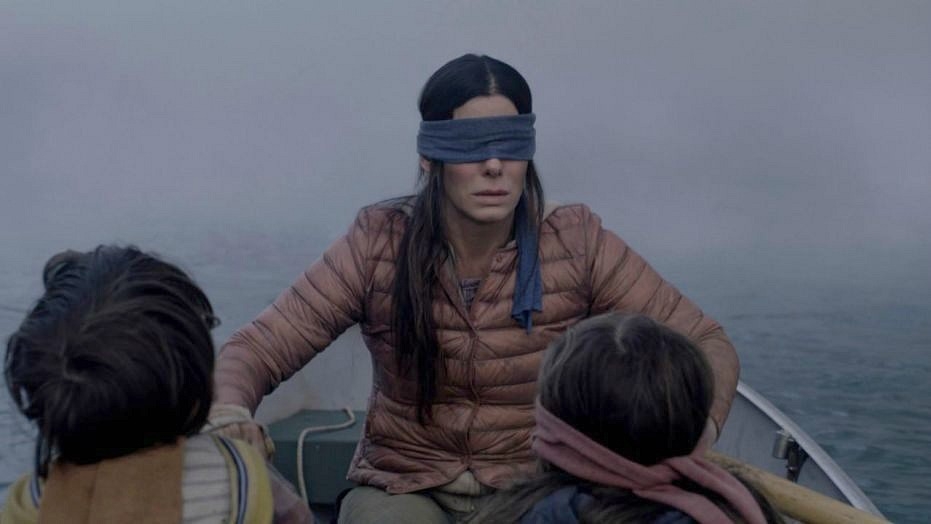 I'm a Blind Woman. Here's My Take on the “Bird Box Challenge.” – Rooted in  Rights